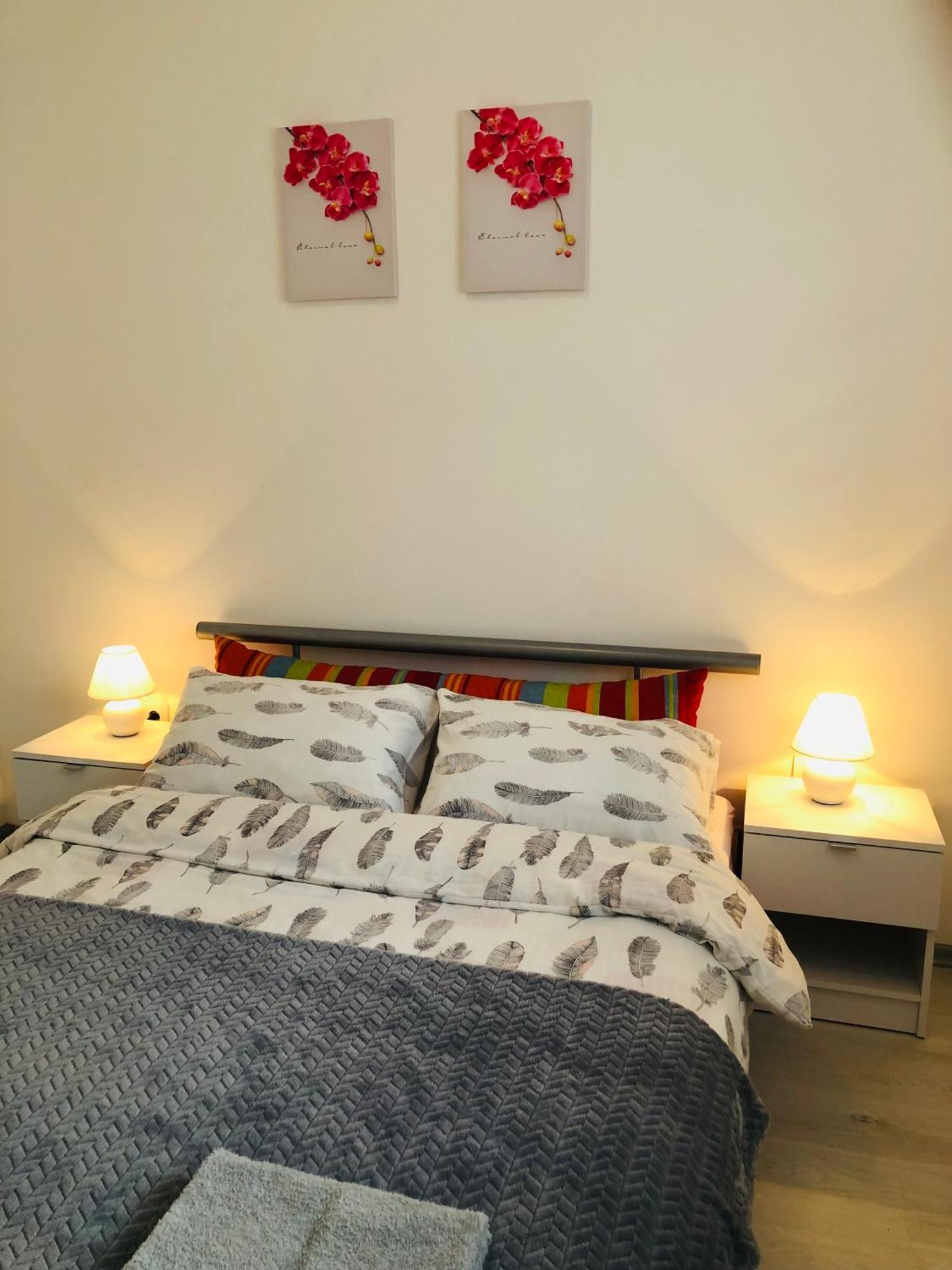 Db Apartmán